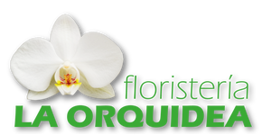 Floristería La Orquídea ~ Envió a domicilio | Floristería en Castellón